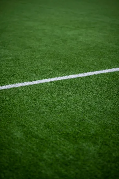 开云体育APP体育综合平台示意